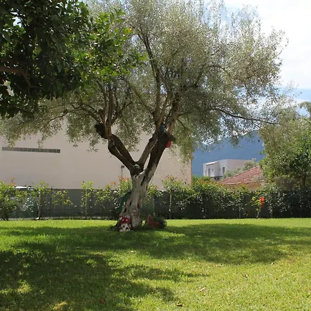 Lefkas Sunrise Luxury Appartments